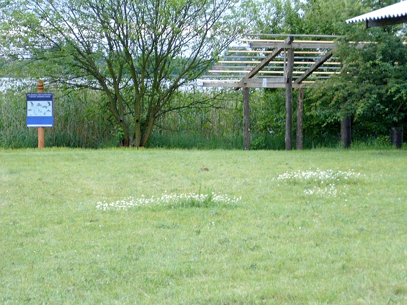 20100601 008.jpg